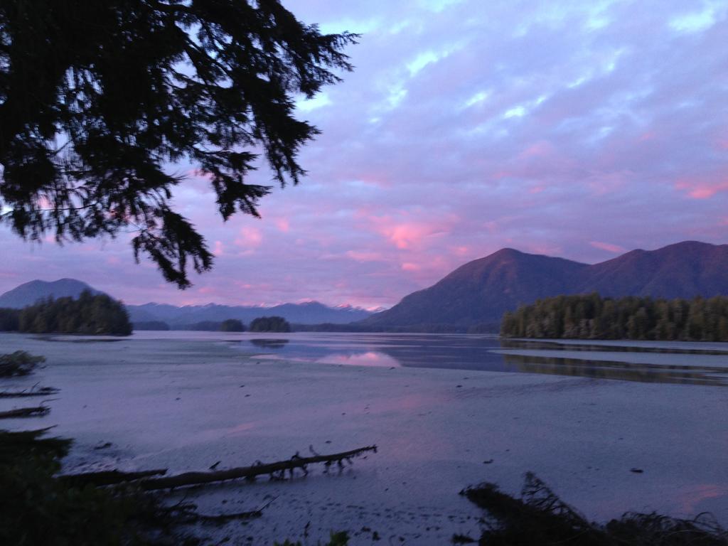 Black Bear Guesthouse Tofino Exteriör bild
